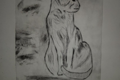 Cat-Katze-Kaltnadelradierung